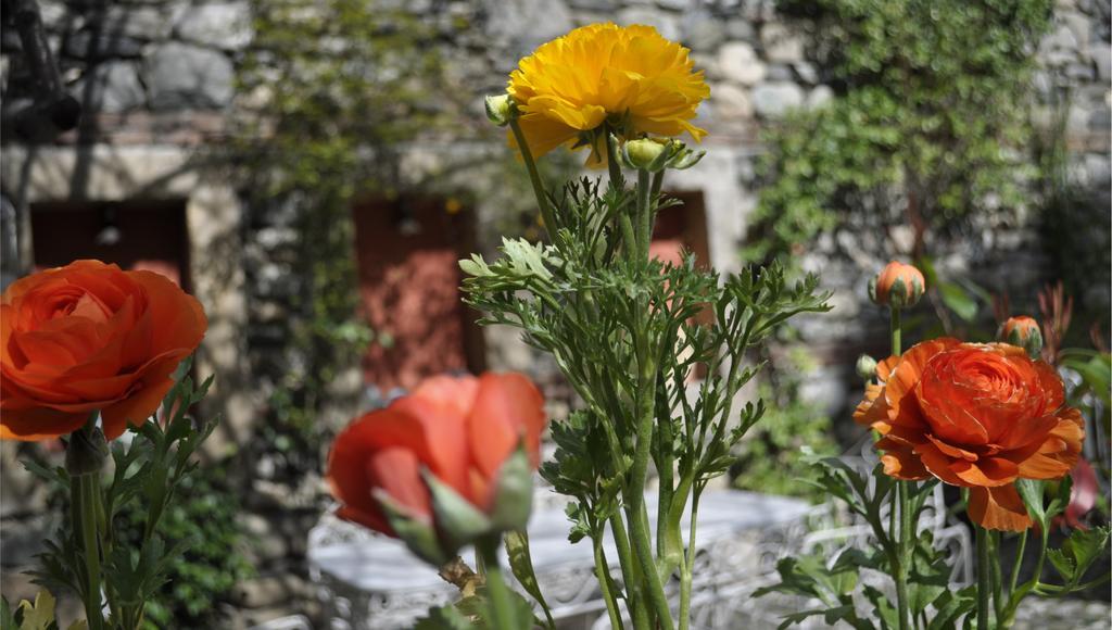 Kitapevi Hotel Προύσα Εξωτερικό φωτογραφία